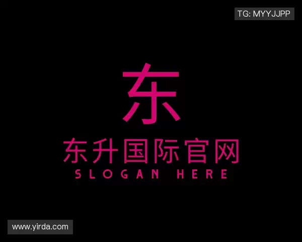 解读东升国际官网